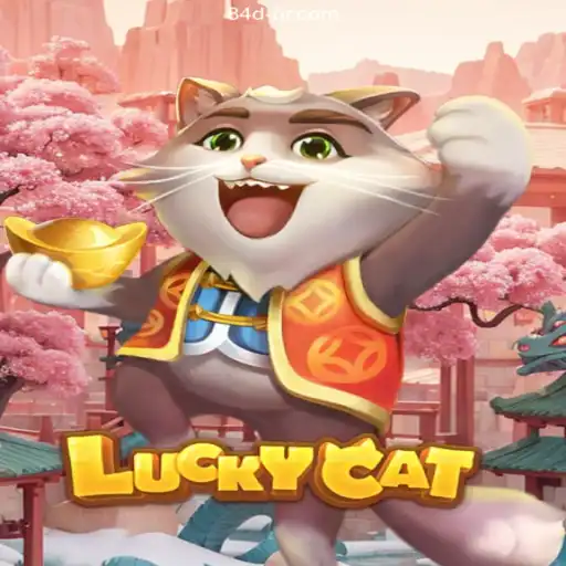 LuckyCat: Exploring the Intriguing World of 84D - A Plataforma de Apostas #1 do Brasil 84D.Com